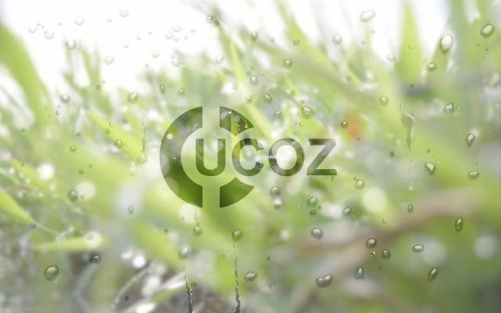 Ucoz - Как поменять фон у дизайна